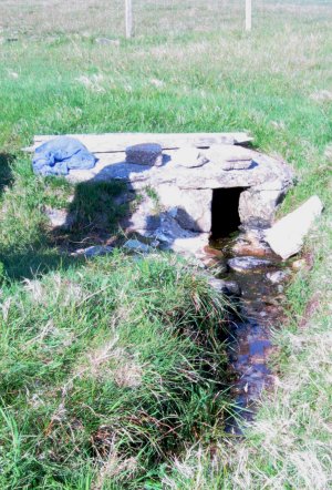 Brighde's Well