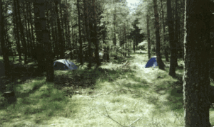the campsite